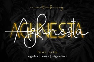 Aghnesta Trio: A Premium Font for Polished Brand Identity