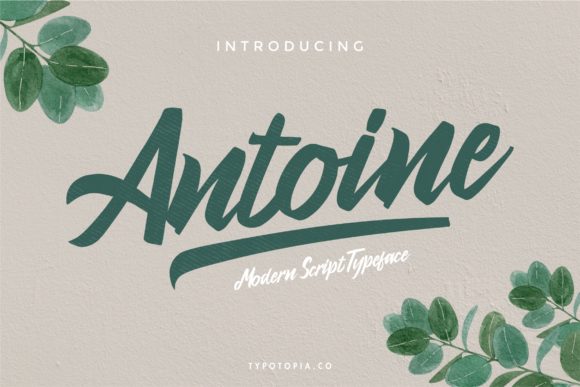 Antoine Script Font Review: Elegant Typography for Brand Identity