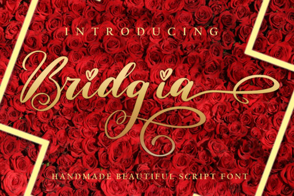 Bridgia Typeface Review: A Delicate Script for Elegant Branding
