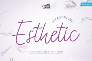 Esthetic: A Handwritten Script Font for Modern Web Design