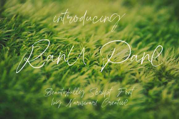 Ranu Pane: A Handwritten Typeface for Modern Web Design