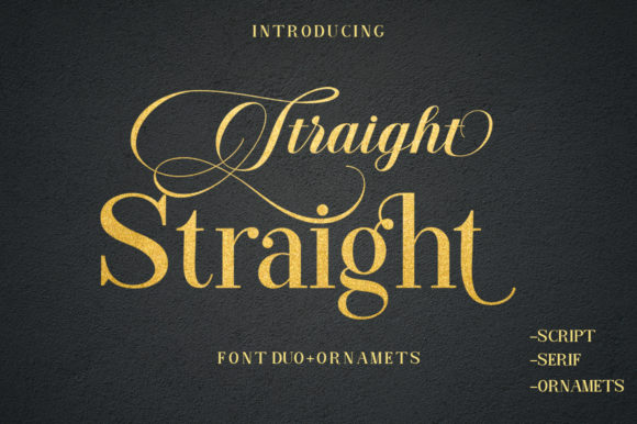 Straight Typeface Review: Elevating Campaign Visuals with Serif and Script