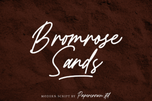 Upgrade Your Brand Identity With the Bromrose Sands Typeface